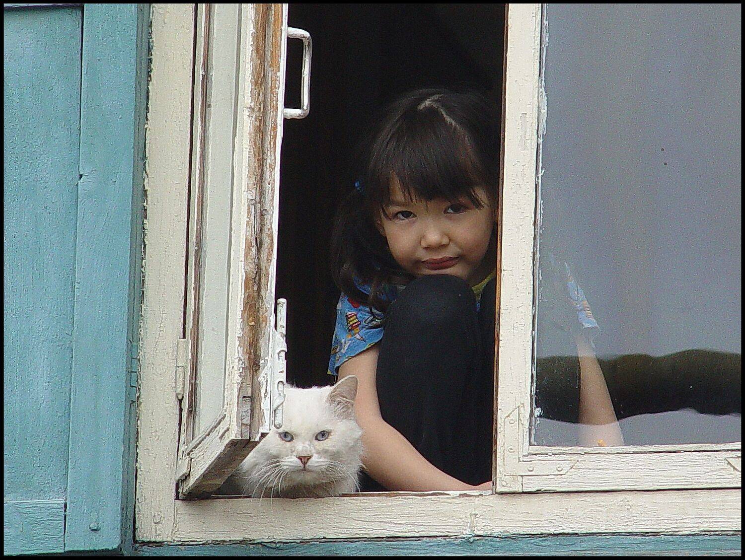 , Меднов Влад