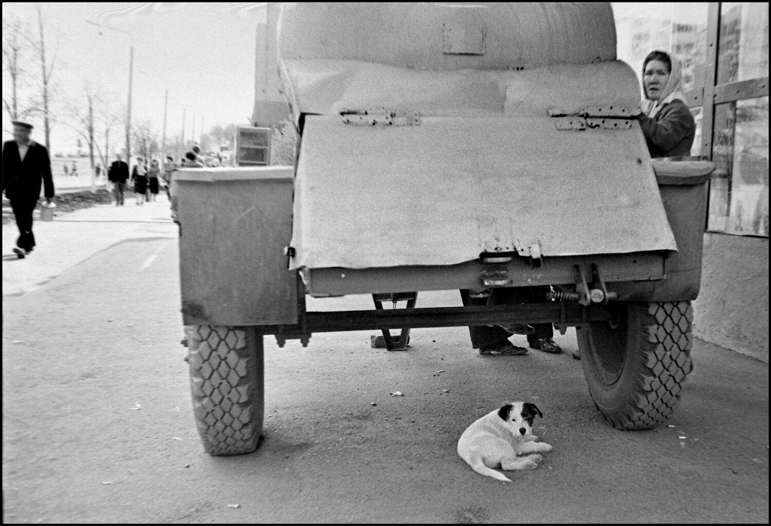 , Меднов Влад