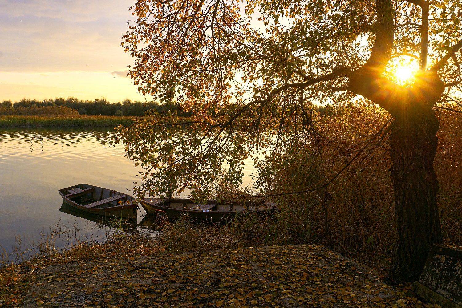 , Марина Соколова