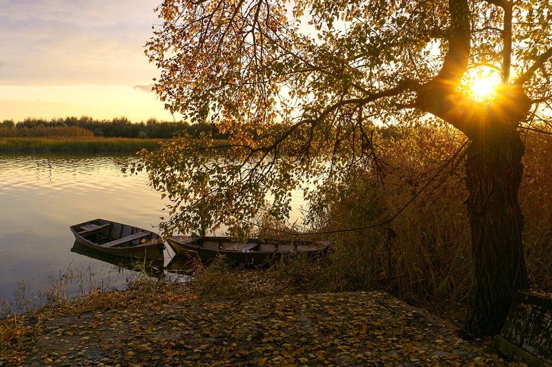 На закате. фото превью