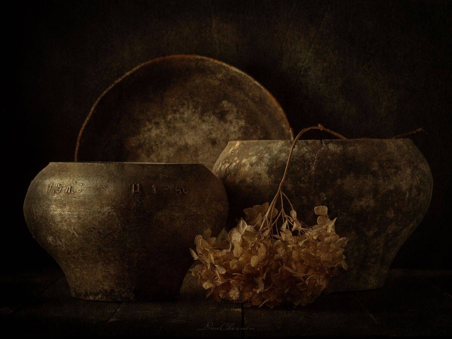 , Дмитрий Чернин