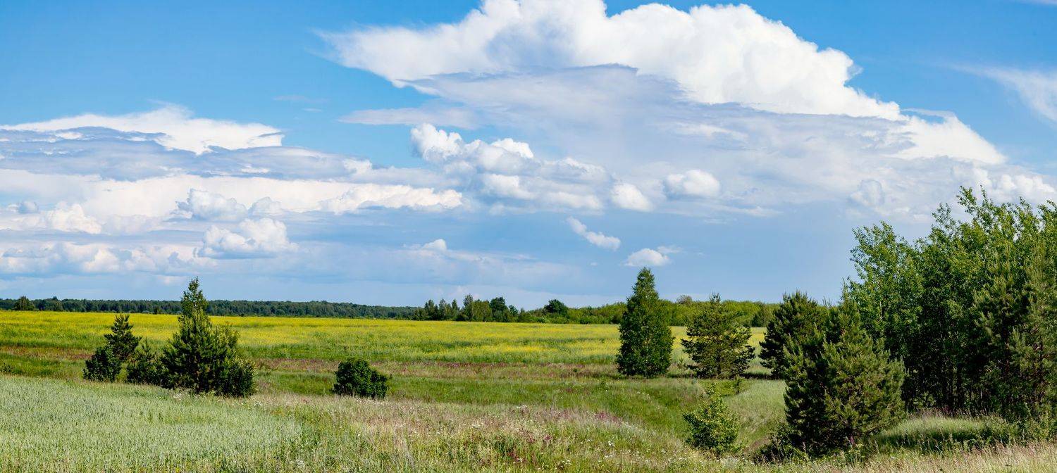 Русское поле, Юрий Морозов