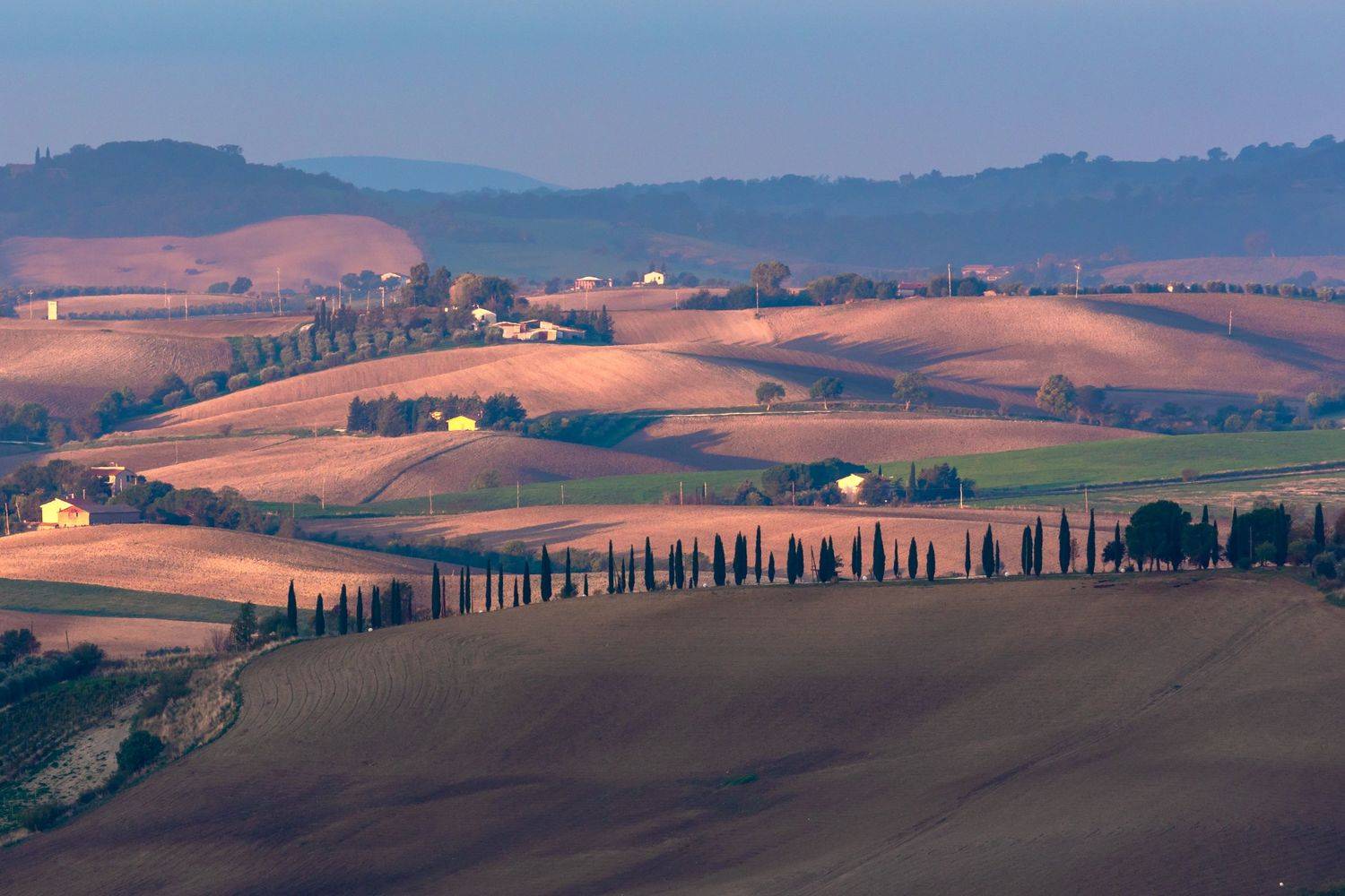 , Евгения Чех