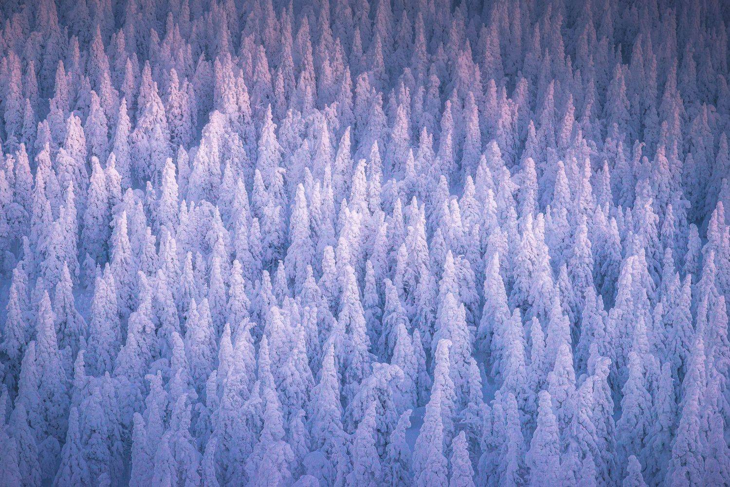 landscape, Даниил Силантьев