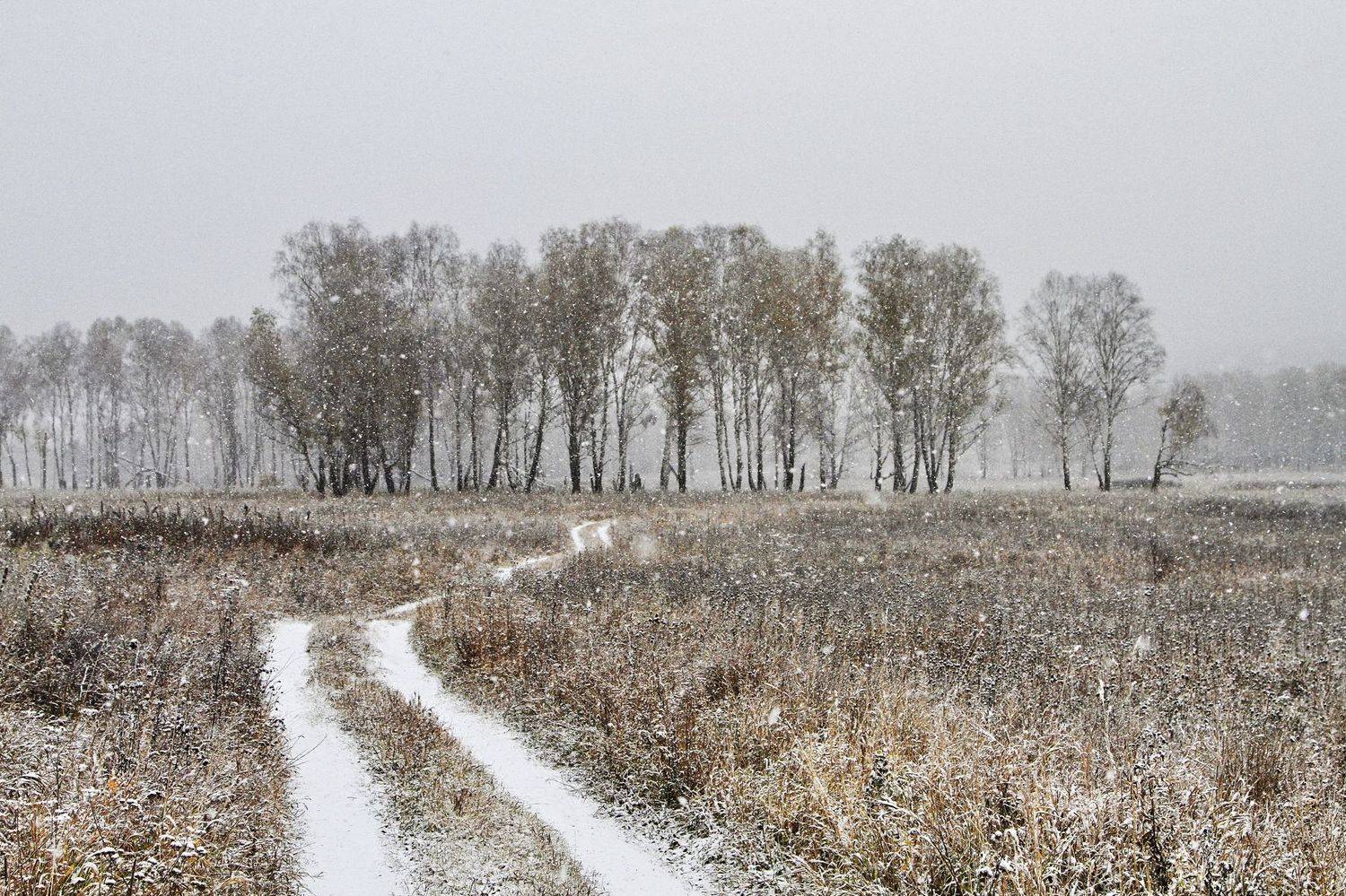 , Гагик Мхитарян