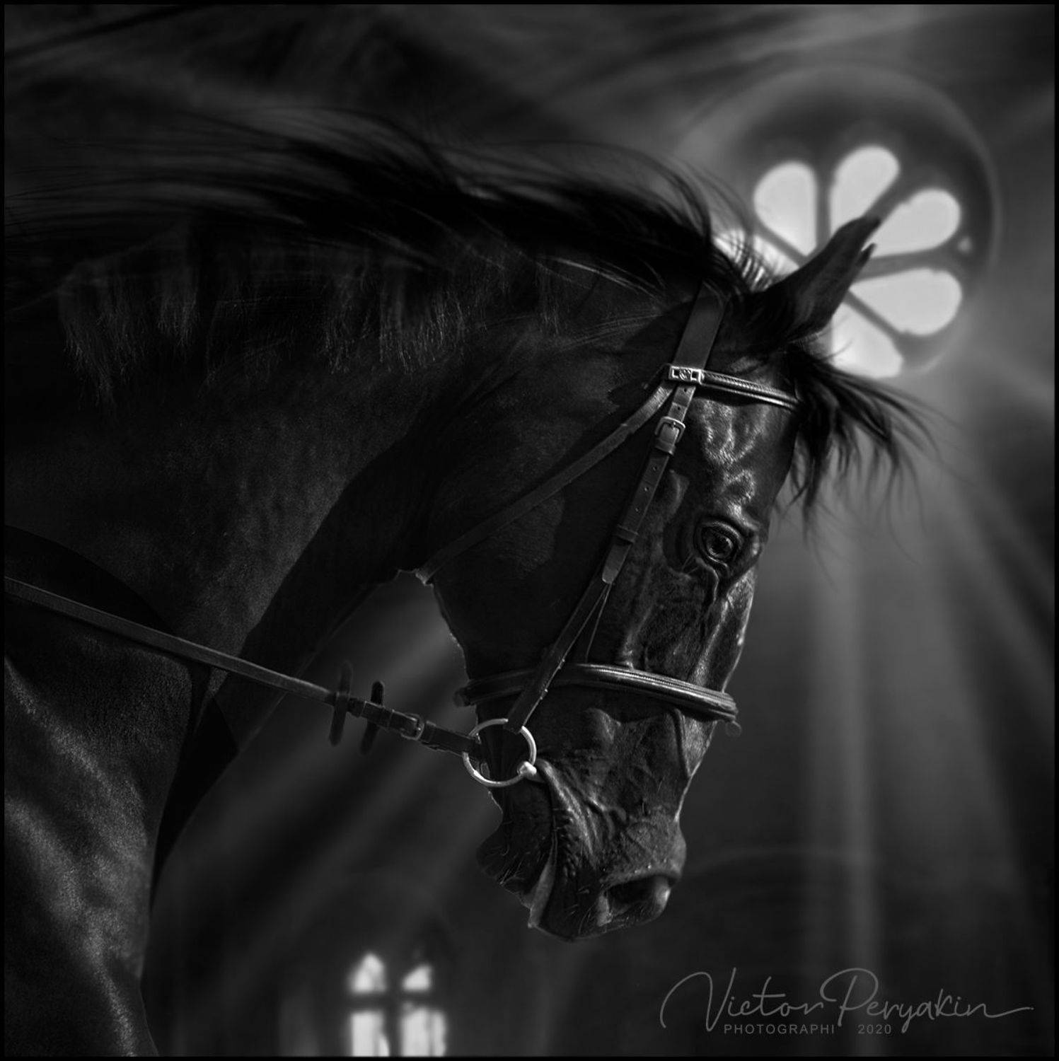 , Виктор Перякин