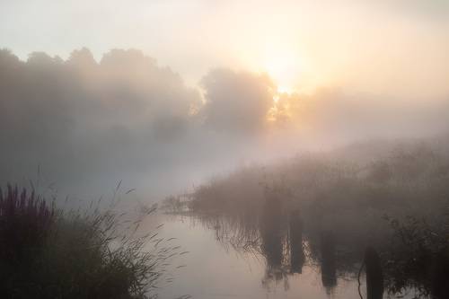 Дыхание лета