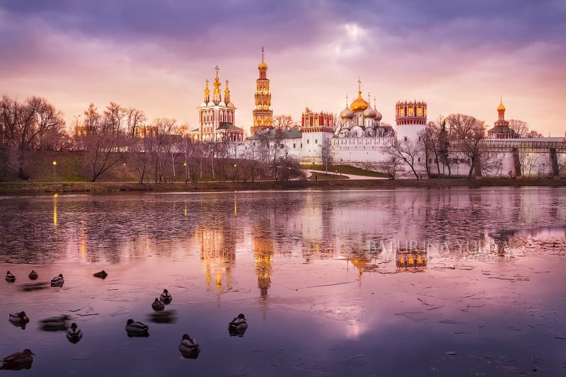 Утки спят у Новодевичьего фото превью
