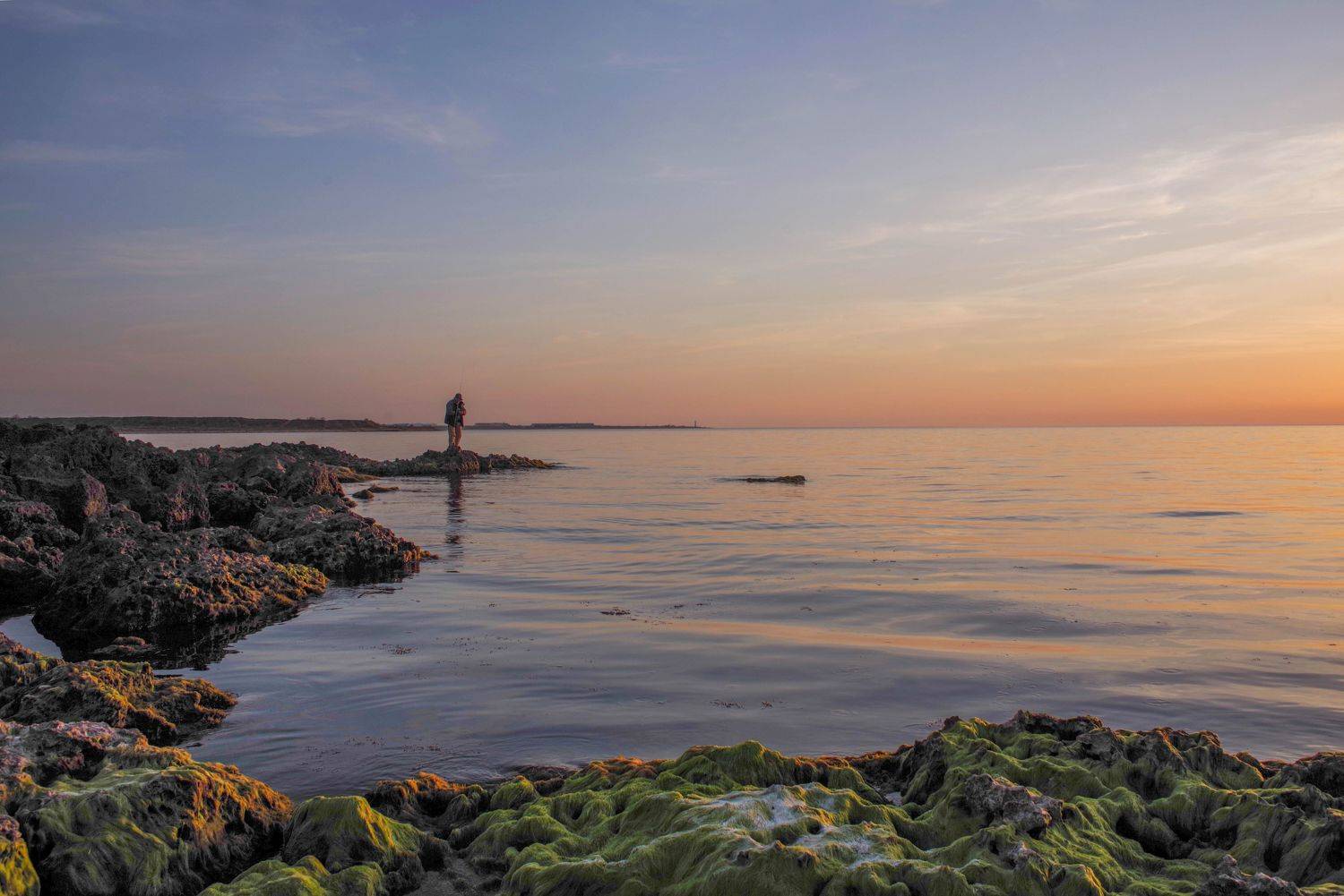 , Ольга Беккер