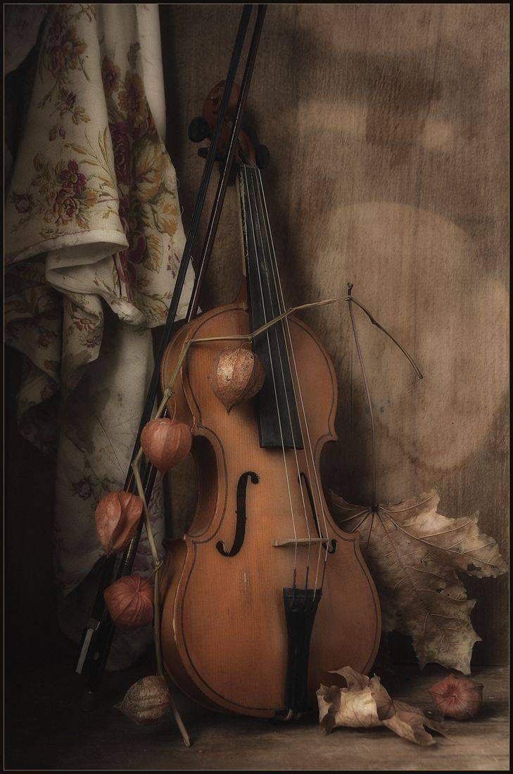 , Хромеев Александр