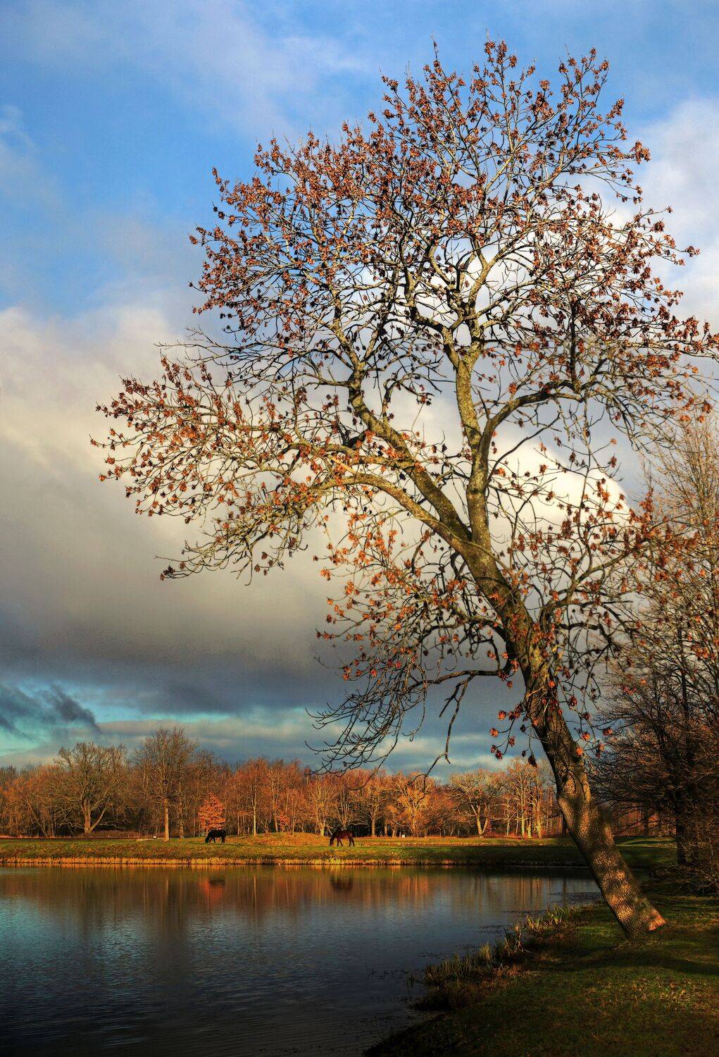 , Сергей Григорьев