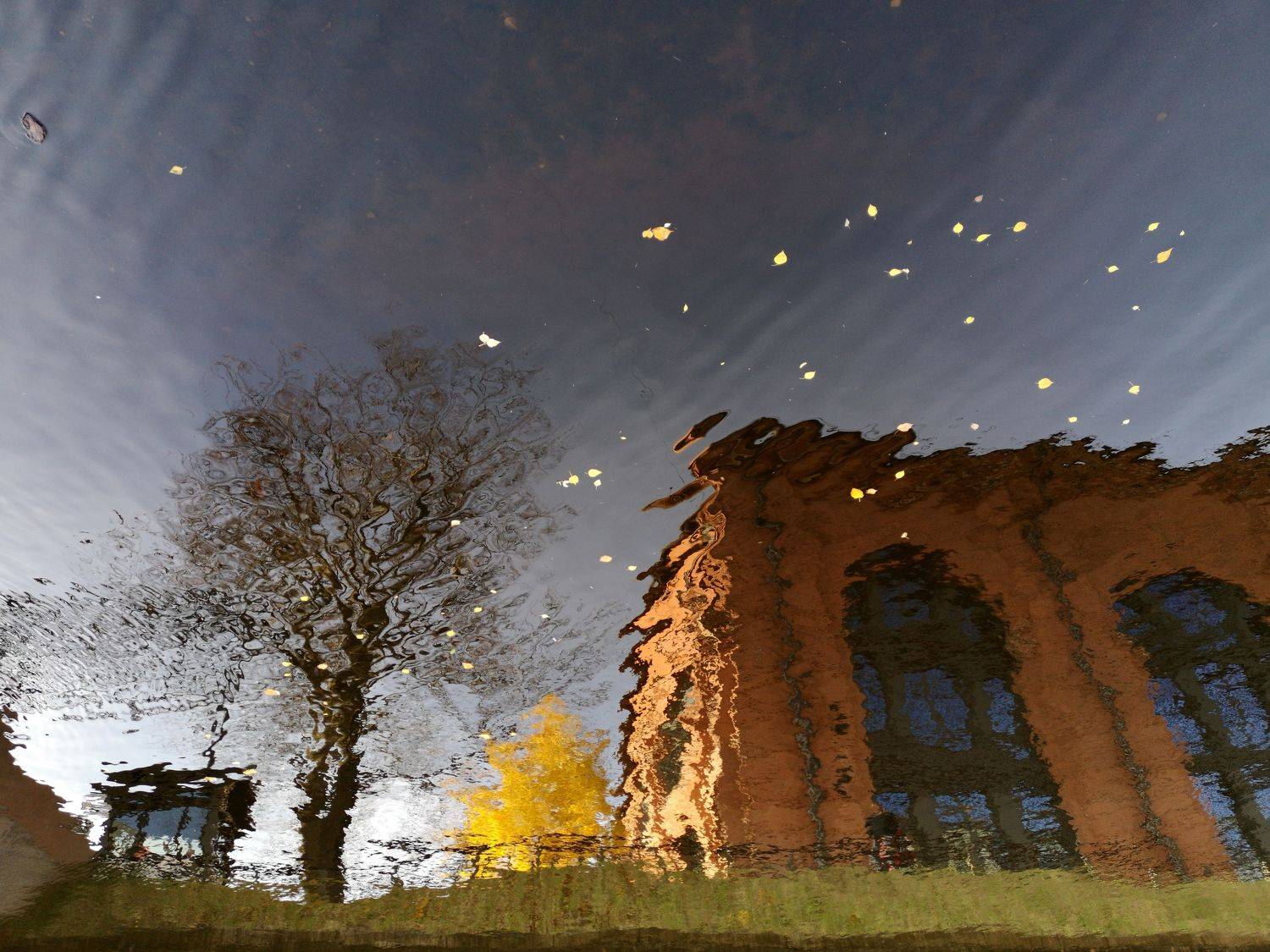 , Антон Лаба