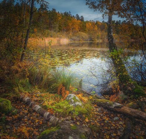 Осенние зарисовки.