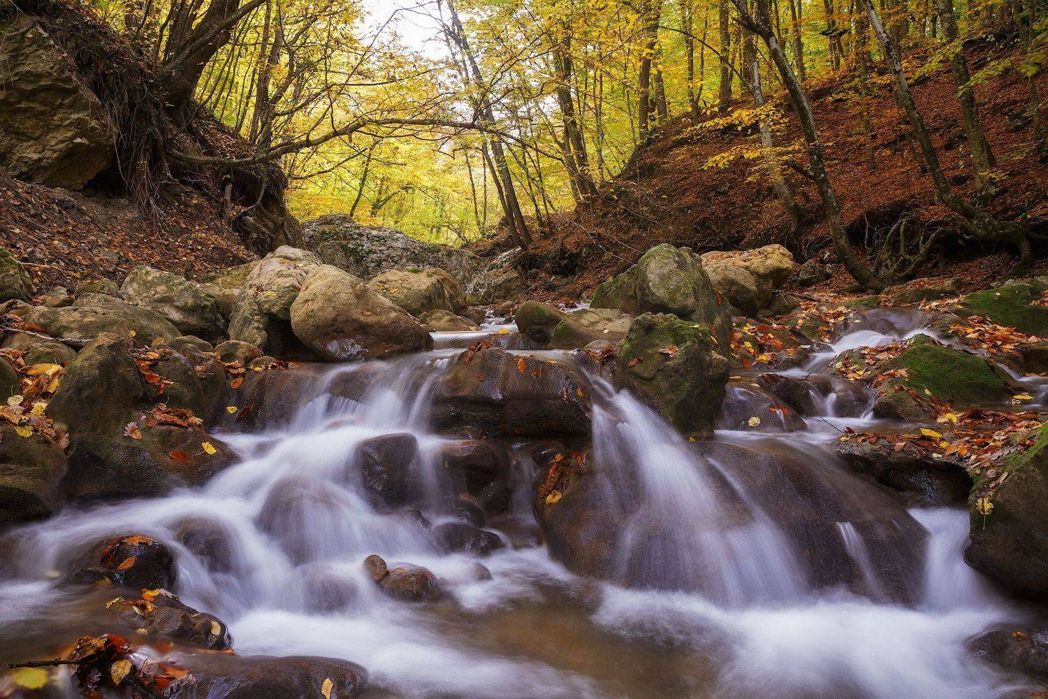 крым, осень, лес, горы., Владимир Дубинин