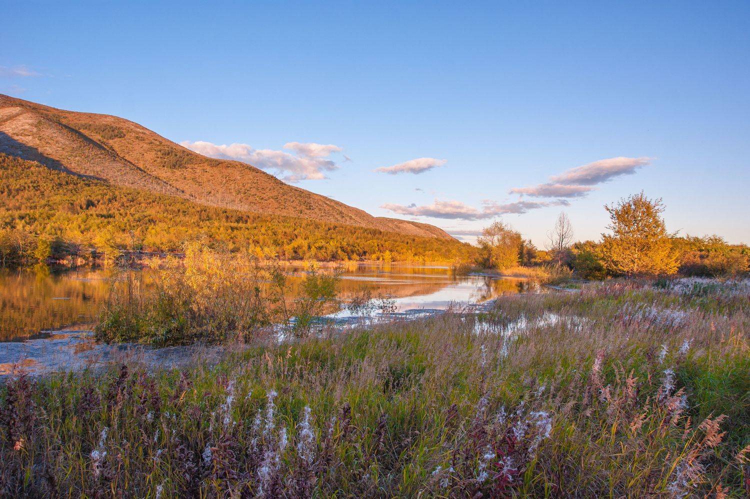 , Андрей Загребельный