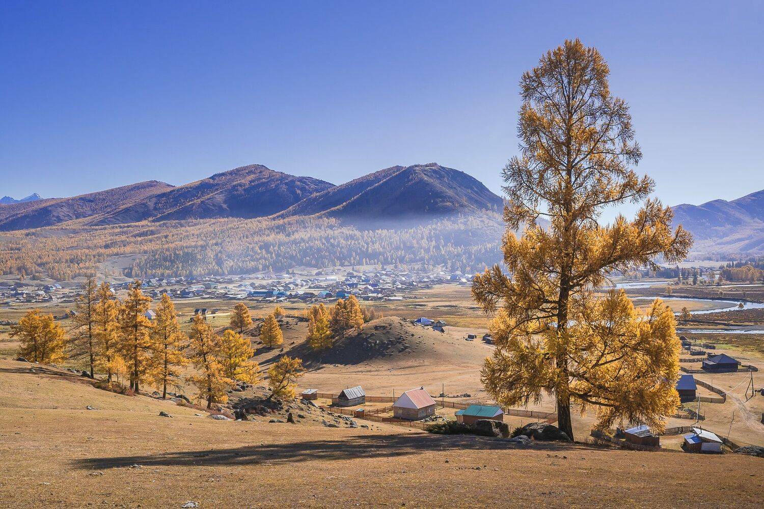 , Сергей Межин