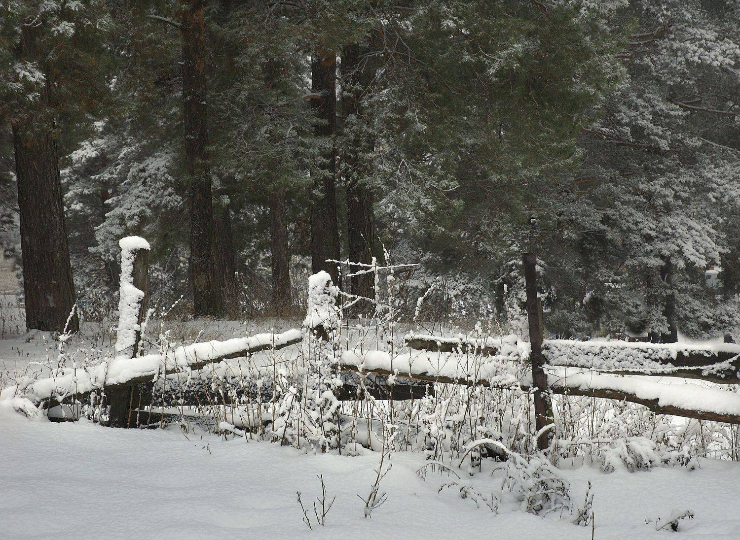 , Владимир Краснов