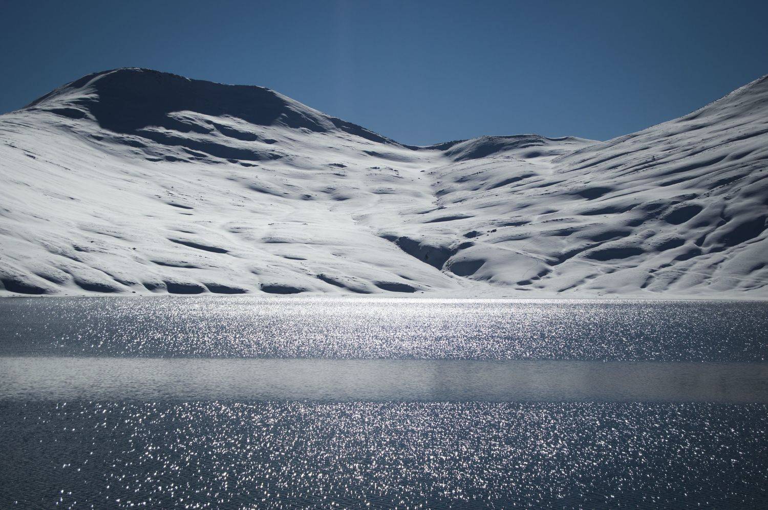 , Степанова Дарья