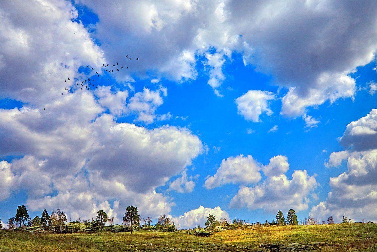 , Качурин Алексей