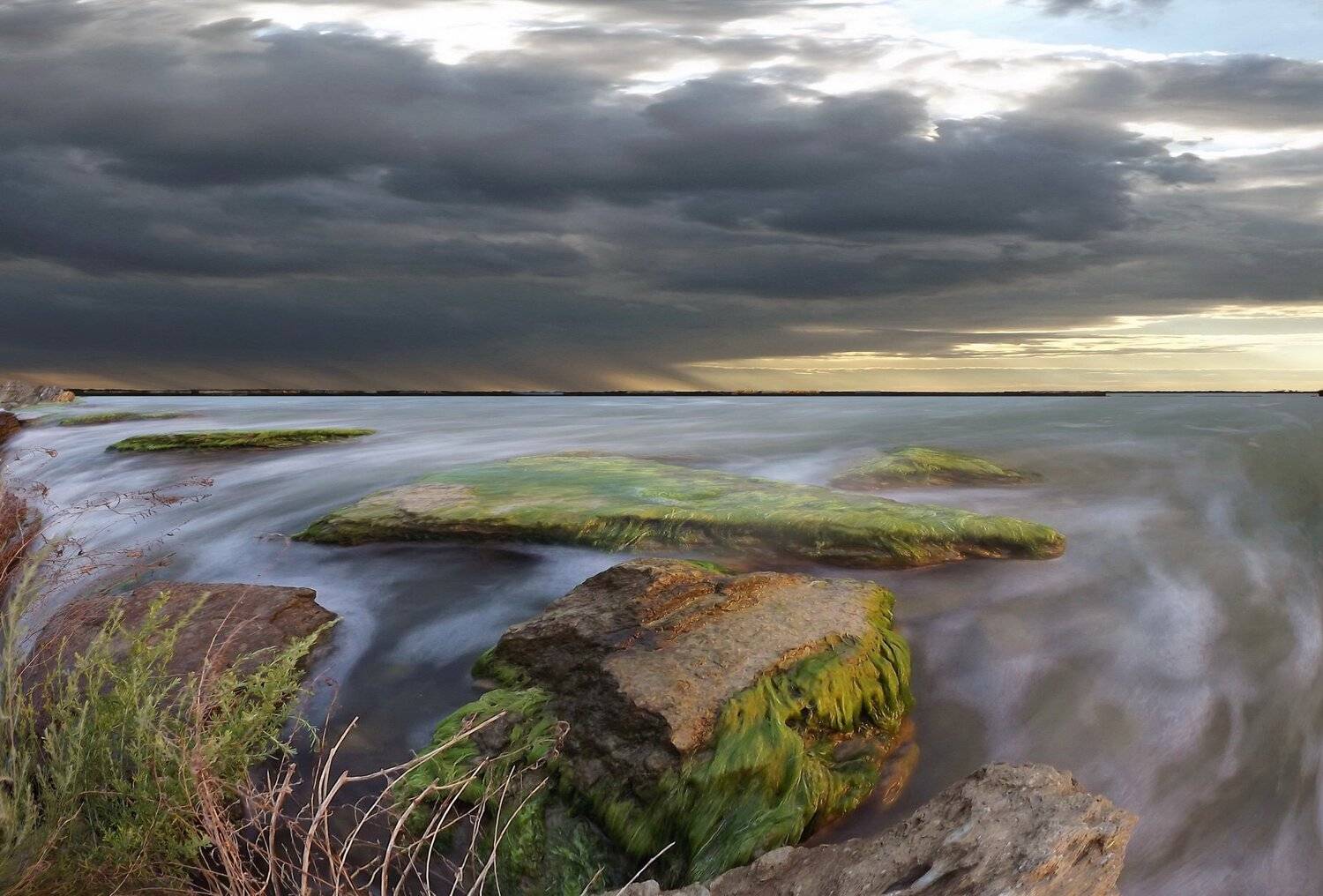 одесса, Сергей Кошелев