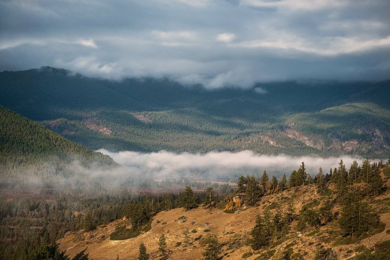 Алтай, Большой, Восход, Высокий, Горы, Желтый, Красивая, Низко, Пейзаж, Природа, Раннее, Сибирь, Туман, Утро, Хмурое, Дмитрий Антипов
