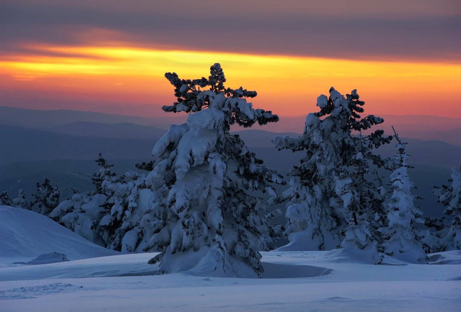 Горная шория, Зима, Кедры, Красочный вечер, Сибирь, Снег, Шерегеш, Валерий Пешков