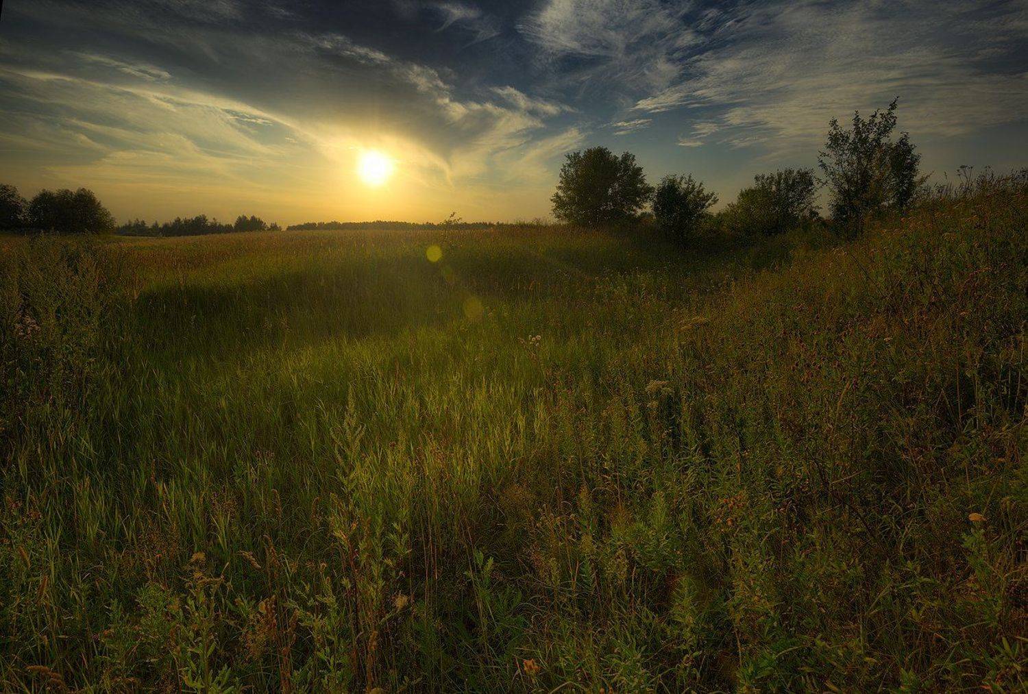 Лето, Природа, Алексей Никонов