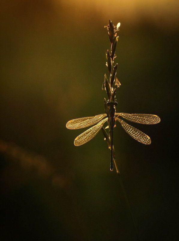 Вот мы и встретились фото превью