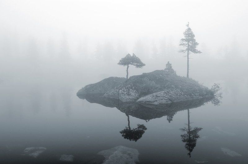 фото на паспорт фото превью