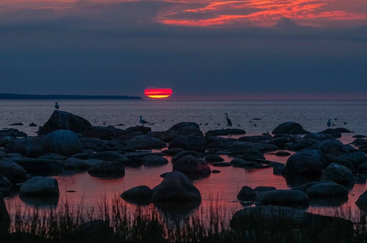 , Александр Абросимов