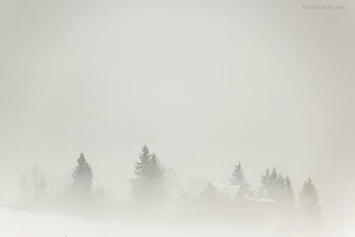 Там где живут Ёжики