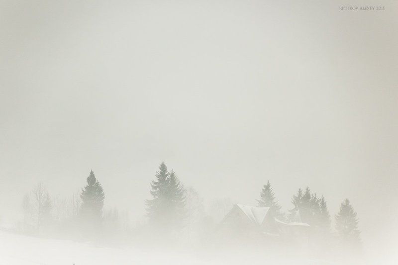 Вышков, Горы, Дом, Зима, Карпаты, Лес, Снег, Туман Там где живут Ёжики фото превью