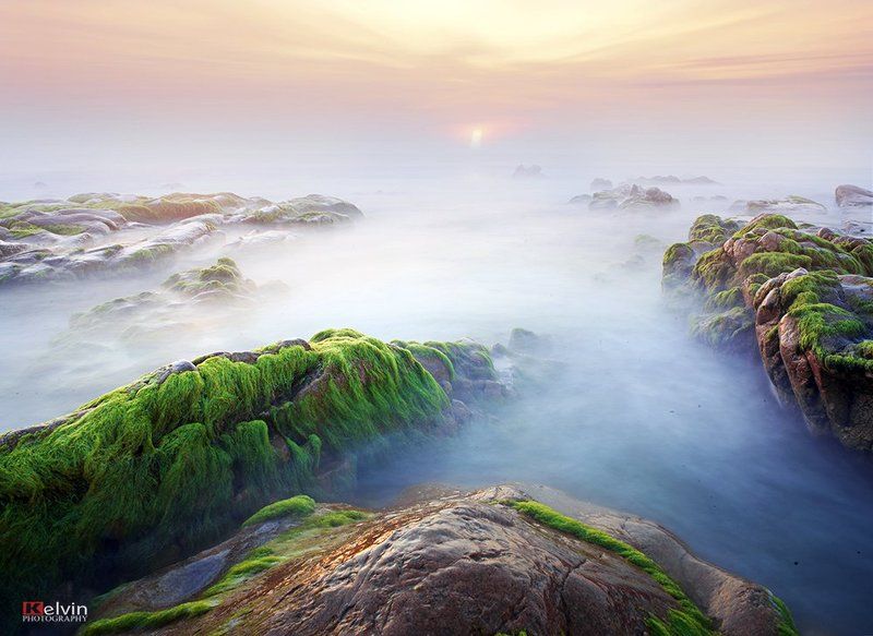 Mùa rêu фото превью