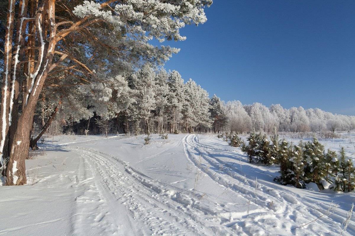 , Kuchkai_murza