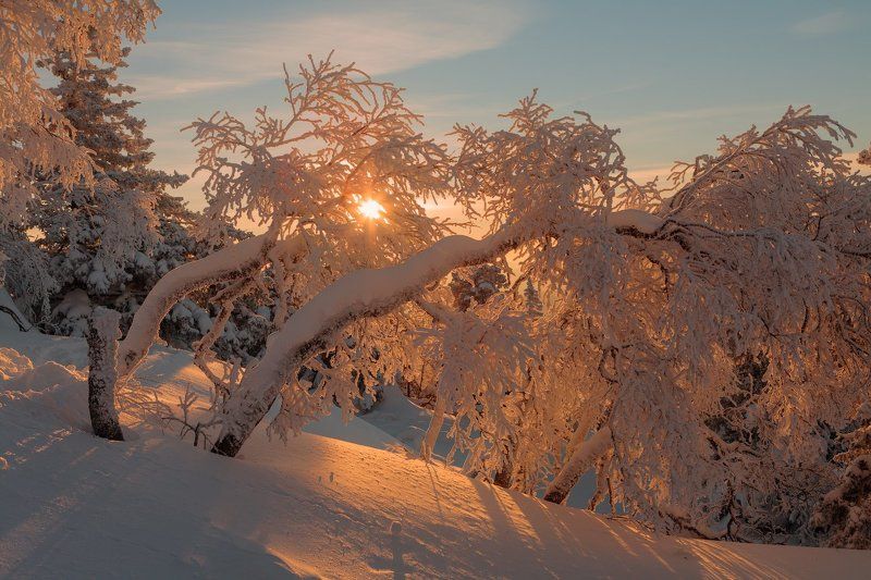 По следам уходящего солнца фото превью