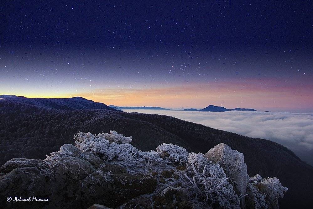 , Ловиков Михаил