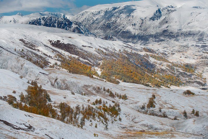 Долина реки Елангаш.Алтайский край фото превью