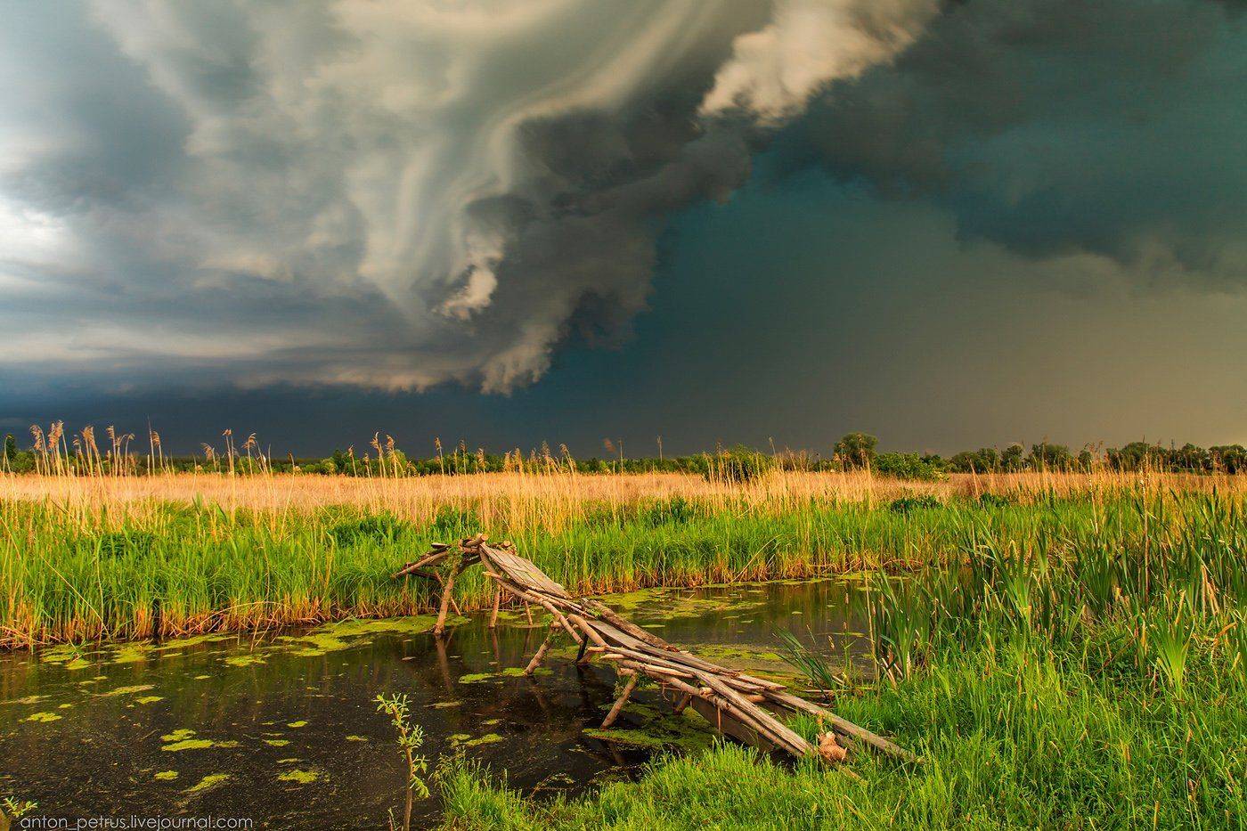 , Антон Петрусь