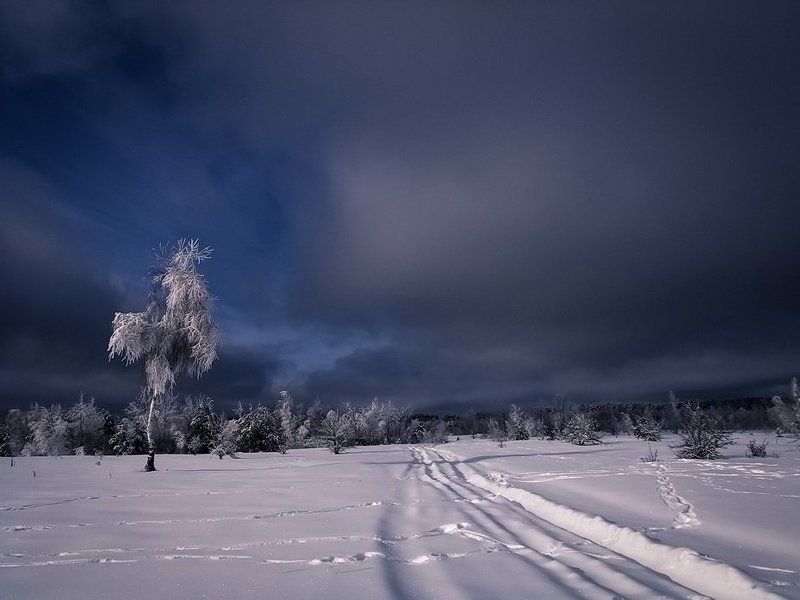 Где то ходит дед мороз фото превью