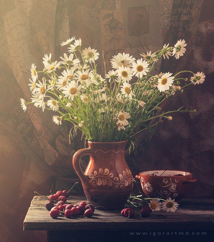 Diases, Flowers, Light, Morning, Poppie, Still life, Summer morning breath фото превью