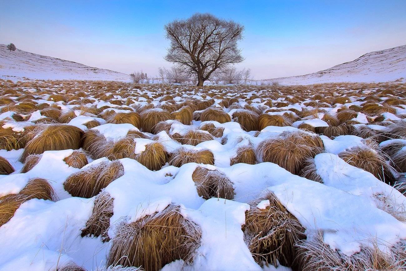 , Качурин Алексей