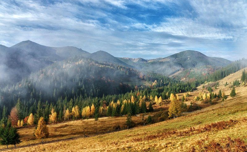 Карпатские зарисовки. фото превью