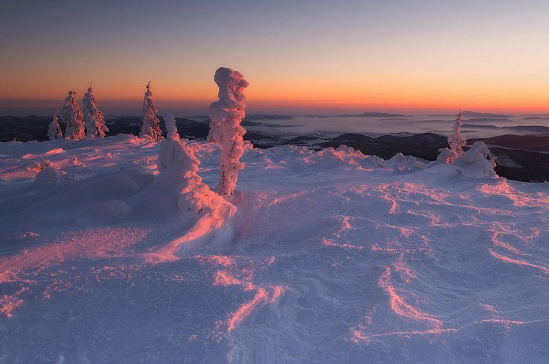 In The First Rays... фото превью