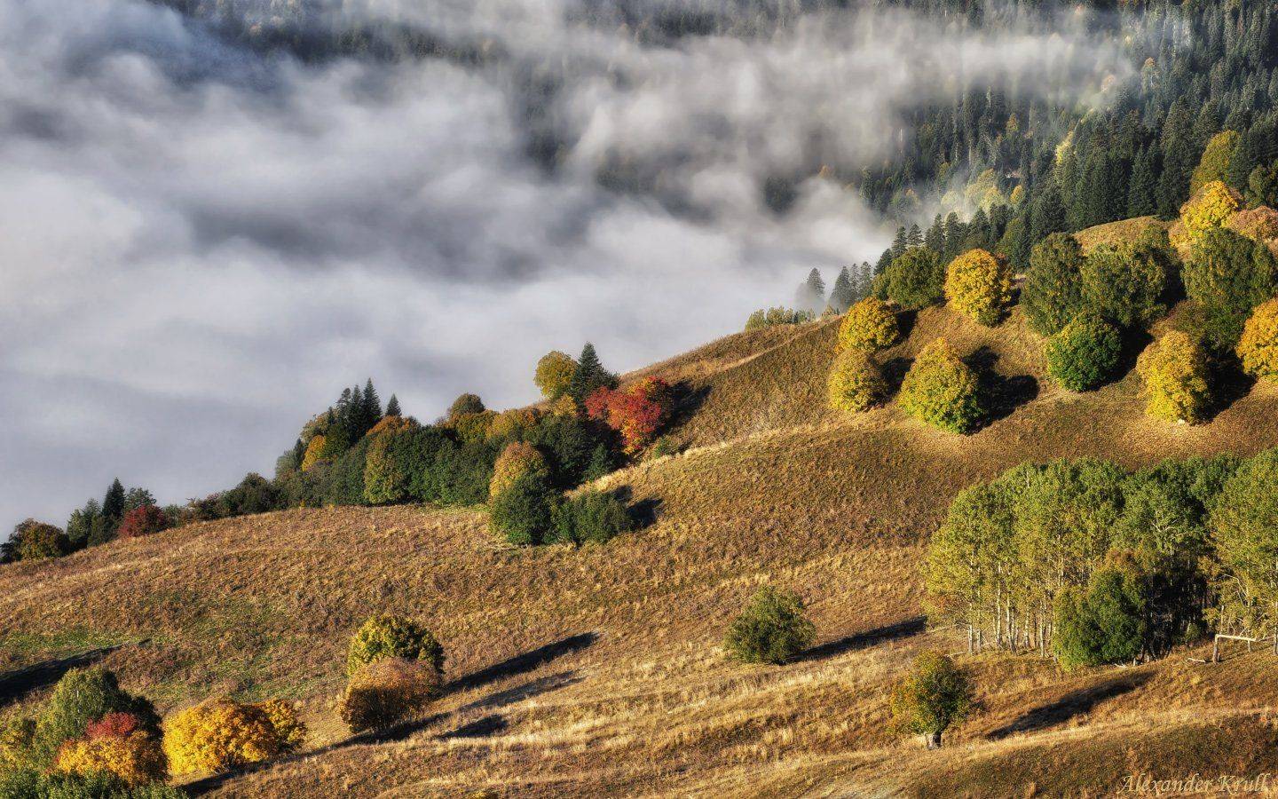 Кавказ, Кчр, Александр Круль