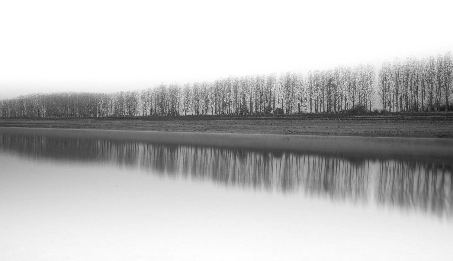Black and white, Landscape, Nature, Trees, Михаил Малинов