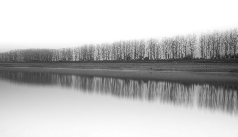 Black and white, Landscape, Nature, Trees Reflection фото превью
