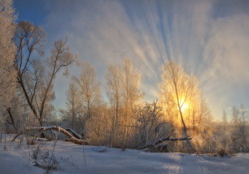 Зимняя история