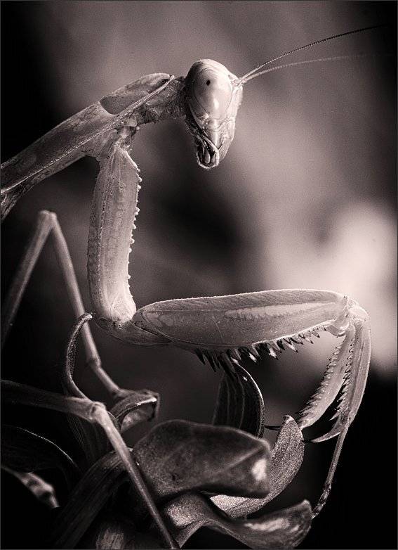 , Сергей Фудиненко