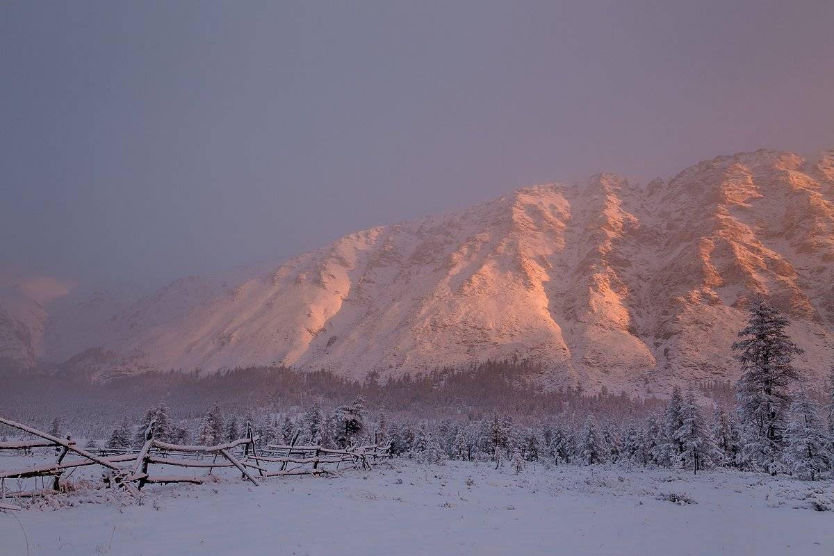 якутия, кенилибит, хребет черского, чибагалахский хребет, момский улус,, Кирилл Уютнов
