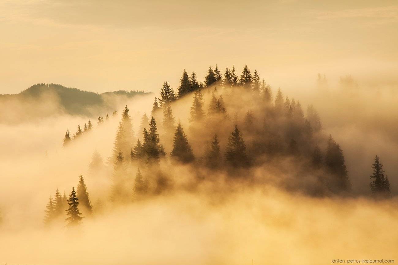 , Антон Петрусь